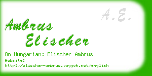 ambrus elischer business card